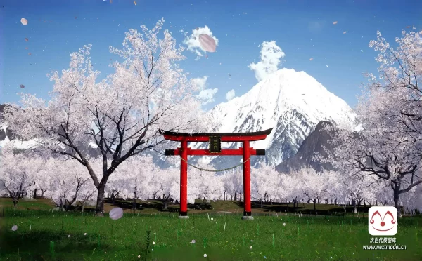 富士山下的樱花场景环境