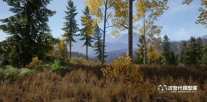 逼真的3D森林环境模型 - Realistic Forest Pack